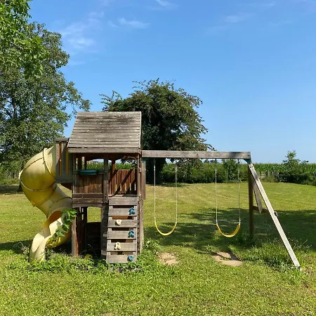 Villa Magnifique Piscine Dans Un Ecrin De Verdure Eckbolsheim